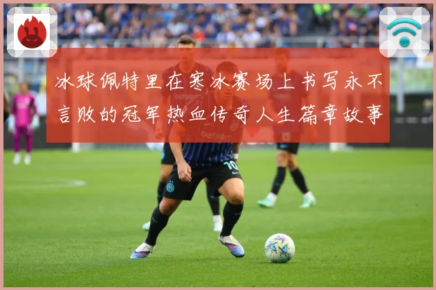 冰球佩特里在寒冰赛场上书写永不言败的冠军热血传奇人生篇章故事成长观察：最新赛事动态与深度分析